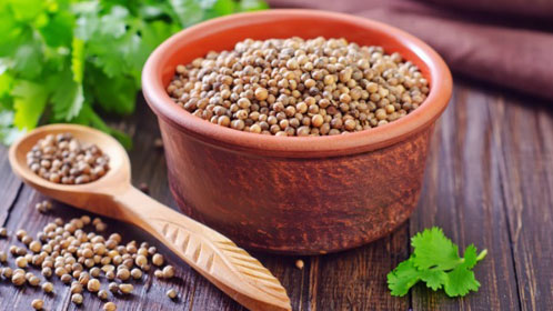 Coriander