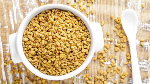 Fenugreek