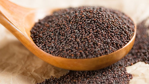 Mustard Seed