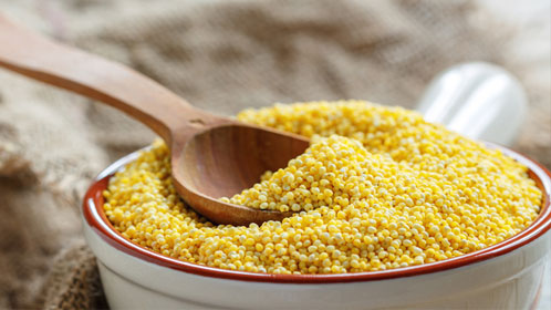 Yellow Millet