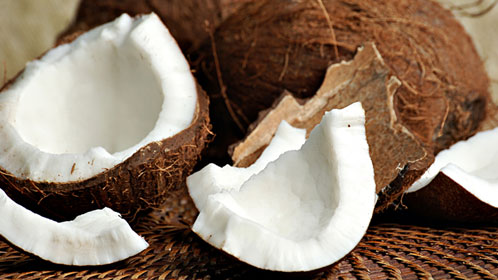 Coconuts