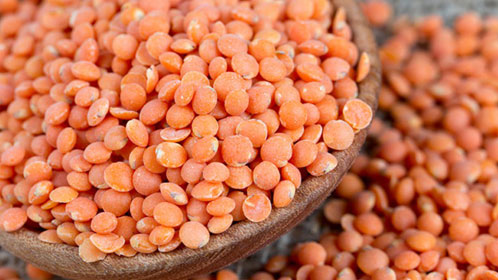 Red Lentils